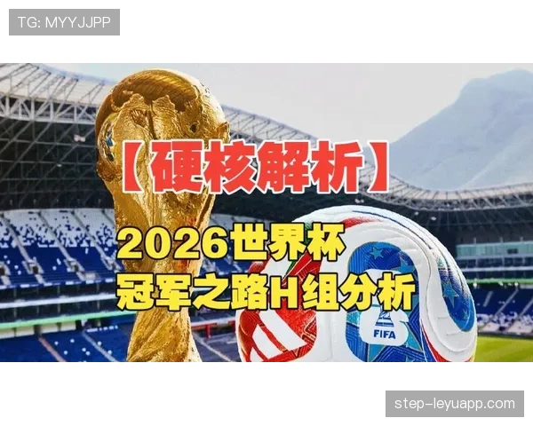 世界杯H组数据模型深度分析 世界杯H组数据模型深度分析